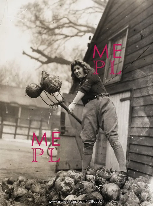 : Land Girls WWII : Land Girls WWII