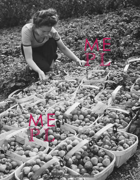 : Land Girls WWII : Land Girls WWII