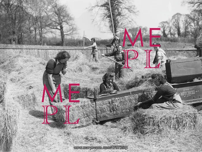 : Land Girls WWII : Land Girls WWII