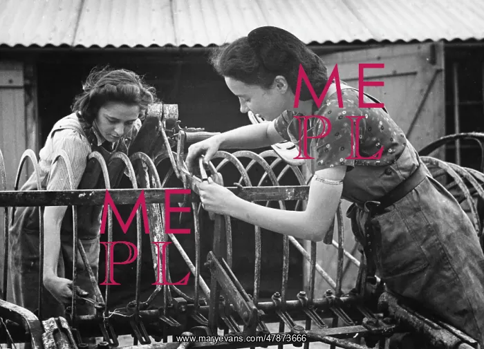 : Land Girls WWII : Land Girls WWII