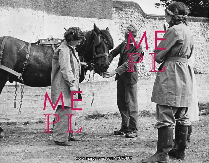  : Land Girls WWII