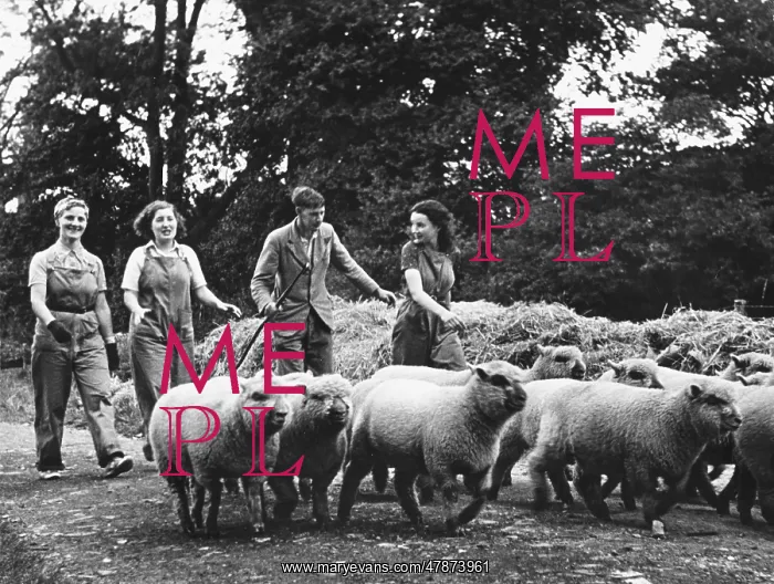 : Land Girls WWII : Land Girls WWII