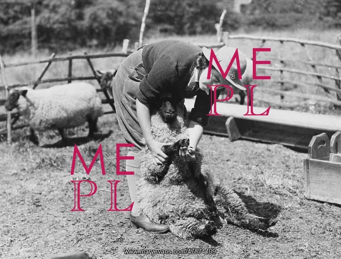  : Land Girls WWII