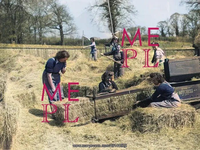 : Land Girls WWII : Land Girls WWII