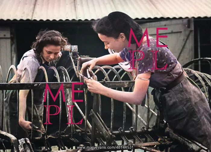 : Land Girls WWII : Land Girls WWII
