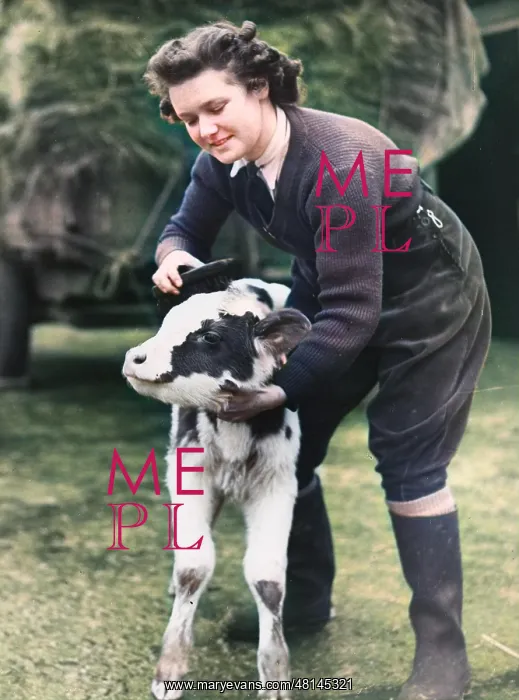  : Land Girls WWII