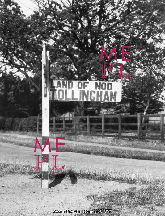 : TO THE LAND OF NOD : TO THE LAND OF NOD