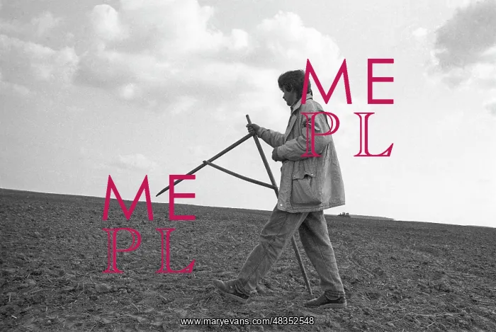 : Land surveyor, 1992 : Land surveyor, 1992