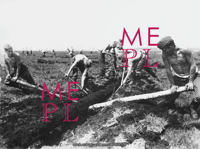  : Land workers, Germany 1930s
