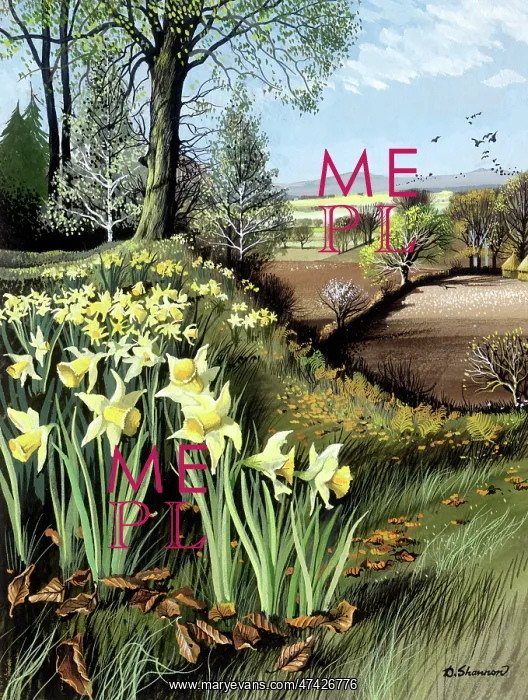  : Landscape with daffodils
