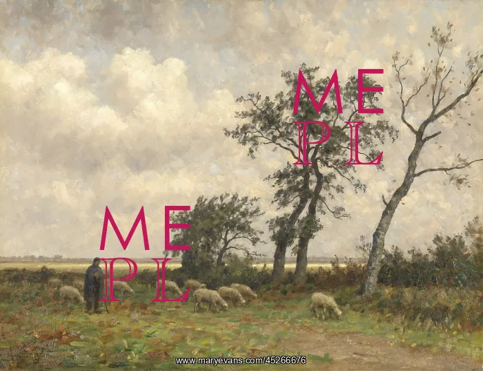 : Landscape in Drenthe : Landscape in Drenthe