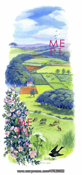 : Landscape with fields and wild rose : Landscape with fields and wild rose