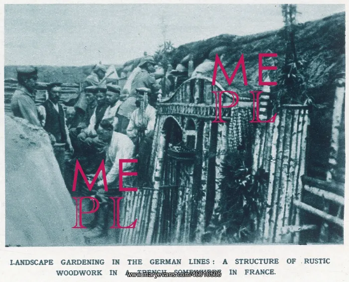 : Landscape Gardening in a German trench : Landscape Gardening in a German trench