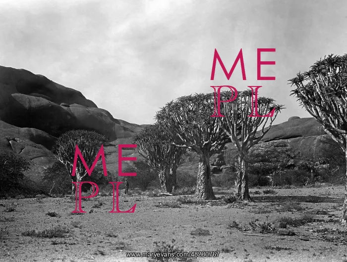 : Landscape in Namibia, 1921 : Landscape in Namibia, 1921