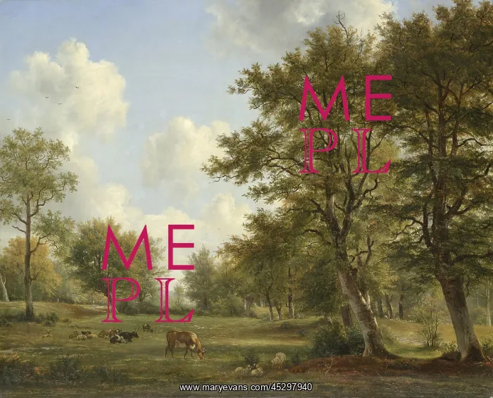 : Landscape near Hilversum : Landscape near Hilversum