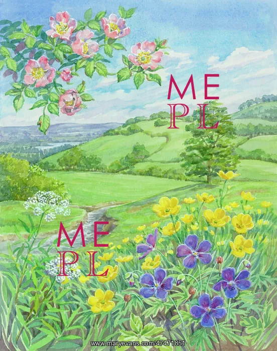 : Landscape with river, wild flowers in foreground : Landscape with river, wild flowers in foreground