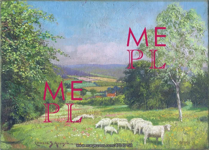 : Landscape with Sheep : Landscape with Sheep