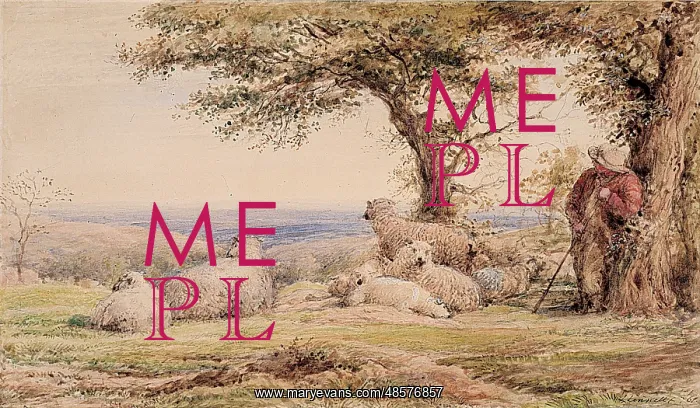 : Landscape with Sheep : Landscape with Sheep