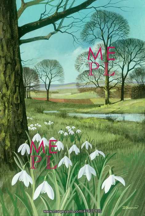  : Landscape with Snowdrops