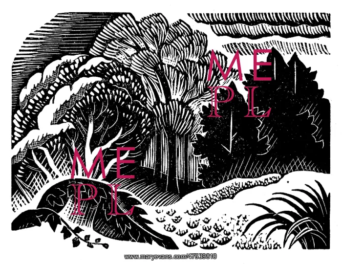 : Landscape with woods : Landscape with woods