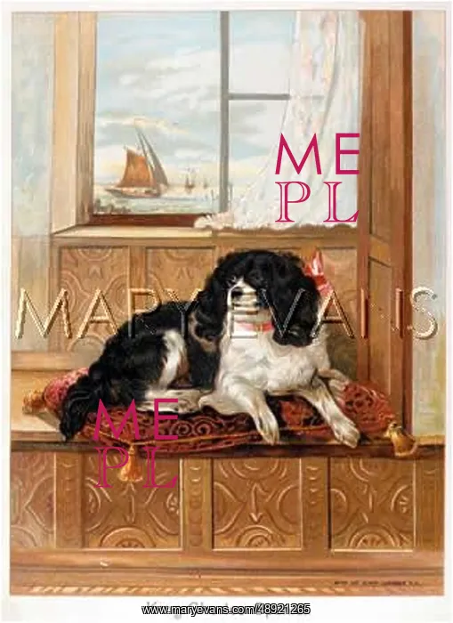 : LANDSEER K C SPANIEL : LANDSEER K C SPANIEL