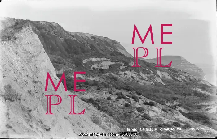 : Landslip at Charmouth : Landslip at Charmouth