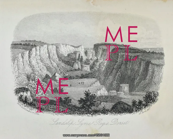: Landslip, Lyme Regis, Dorset : Landslip, Lyme Regis, Dorset
