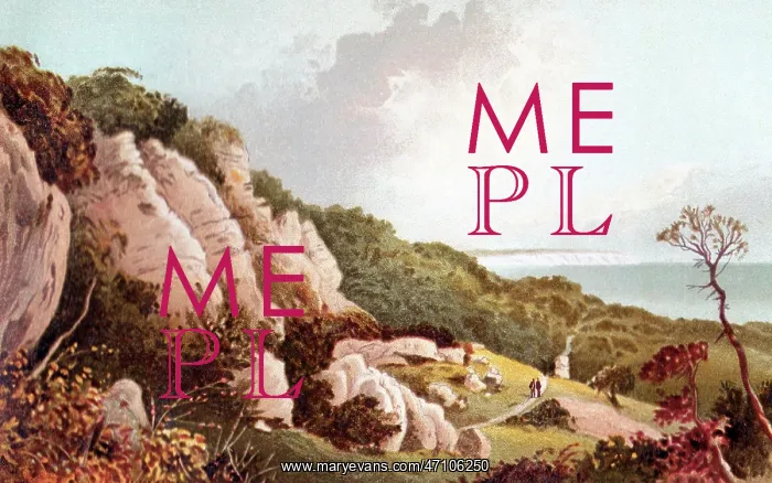 : The Landslip, Ventnor, Isle of Wight : The Landslip, Ventnor, Isle of Wight