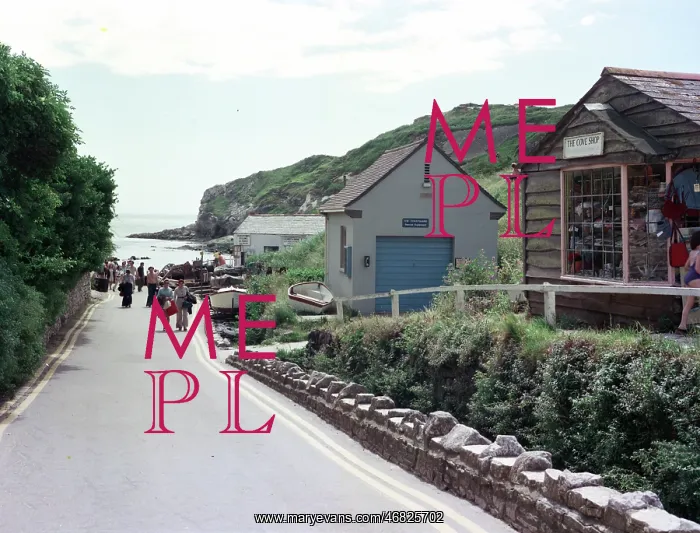 : The lane to the Cove, Lulworth : The lane to the Cove, Lulworth