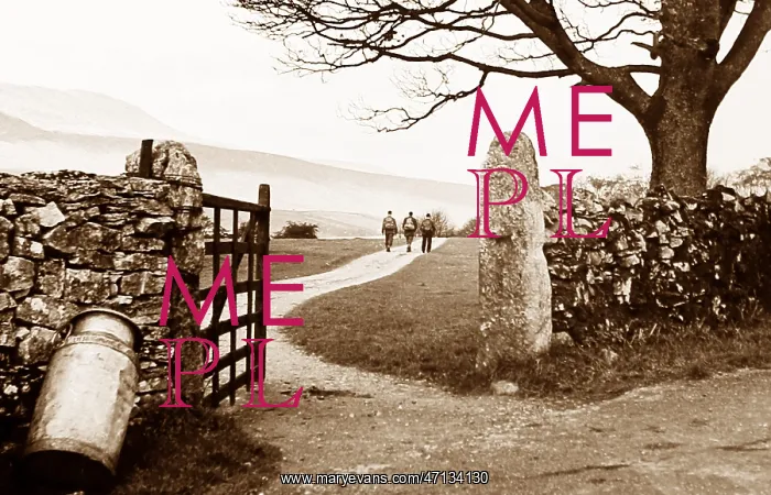  : The lane to Whernside in the 1930s