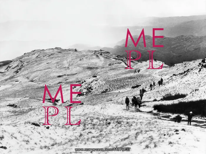 : LANGDALE PIKES : LANGDALE PIKES