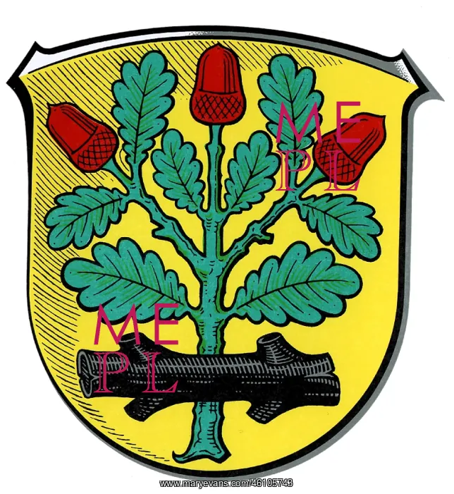  : Langen, Coat of arms