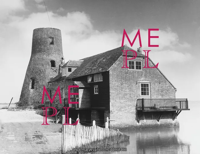 : LANGSTONE MILL : LANGSTONE MILL