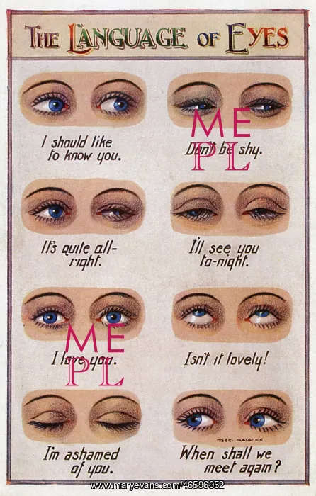 : The Language of Eyes : The Language of Eyes