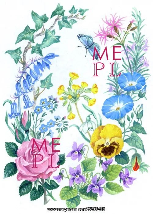 : The Language of Flowers : The Language of Flowers