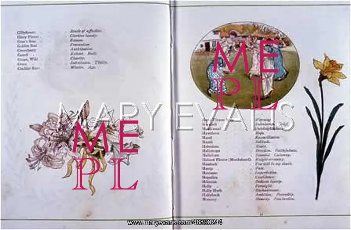  : LANGUAGE OF FLOWERS