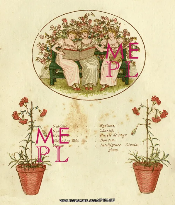 : The Language of Flowers Poster : The Language of Flowers Poster