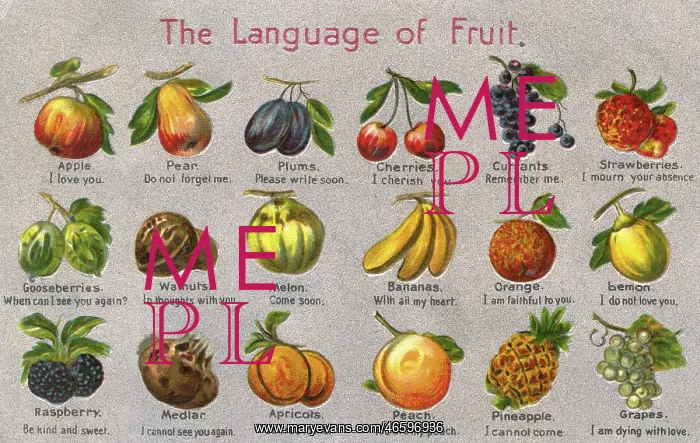 : The Language of Fruit : The Language of Fruit