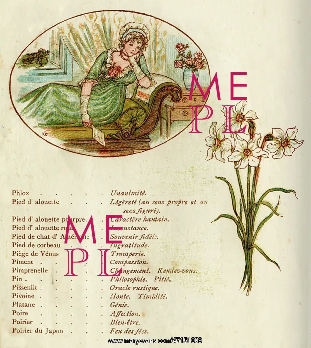: The Language and Meaning of Flowers : The Language and Meaning of Flowers