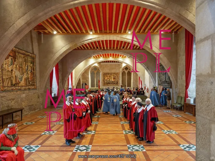 : Languedoc Roussillon brotherhoods, Musee d'Art et d'Histoire : Languedoc Roussillon brotherhoods, Musee d'Art et d'Histoire
