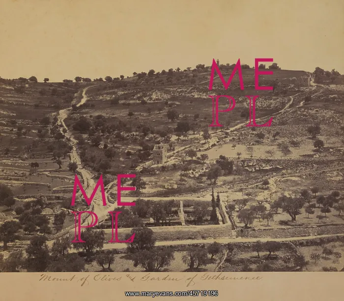 : Lanscape - Mount of Olives - of Gethsemane - Jerusalem : Lanscape - Mount of Olives - of Gethsemane - Jerusalem