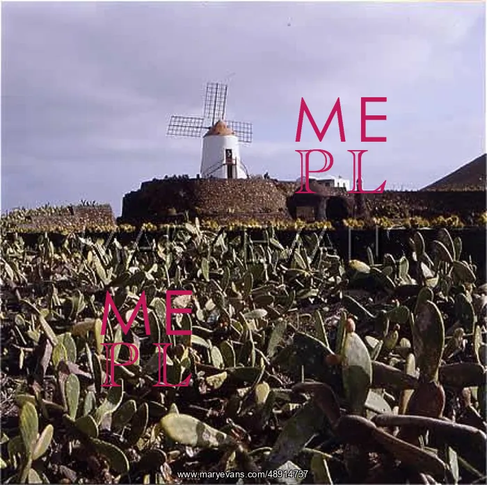 : LANZAROTE WINDMILL : LANZAROTE WINDMILL