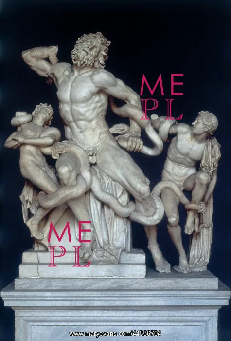 : Laocoon, celebrated sculpture group, Vatican Museums : Laocoon, celebrated sculpture group, Vatican Museums