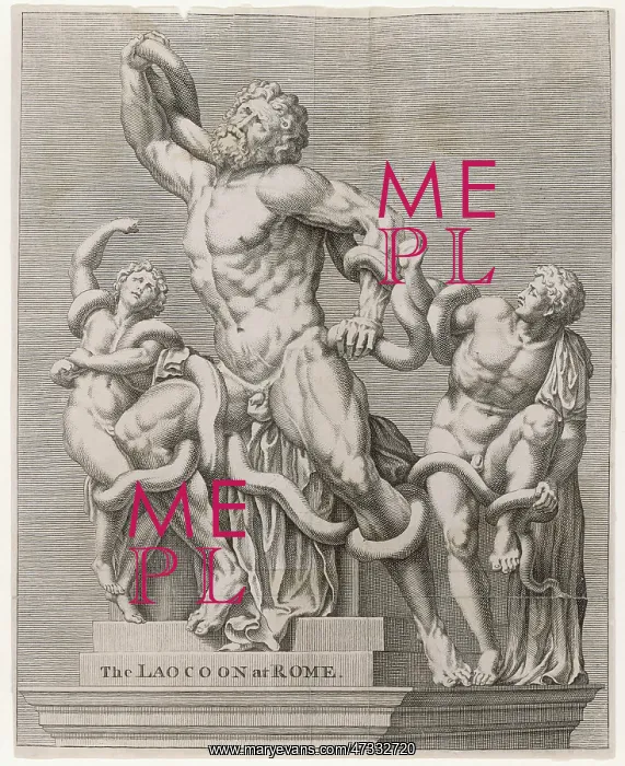 : LAOCOON SCULPTURE 2 : LAOCOON SCULPTURE 2