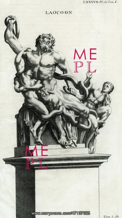 : LAOCOON AND HIS SONS : LAOCOON AND HIS SONS