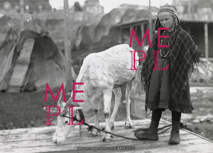  : LAPLAND GIRL & REINDEER
