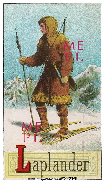 : Laplander in snowy landscape : Laplander in snowy landscape