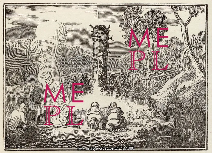 : Laplanders worshipping an idol : Laplanders worshipping an idol