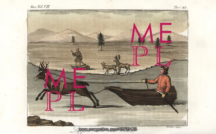 : Lapp in a sleigh pulled by a reindeer : Lapp in a sleigh pulled by a reindeer