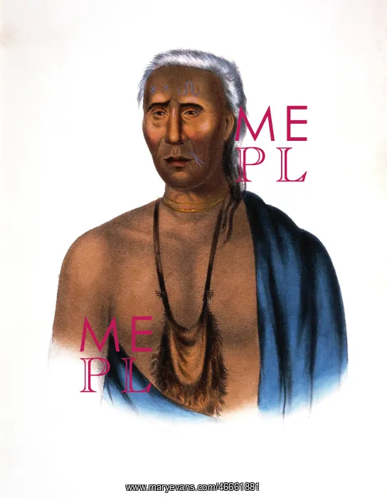 : Lappawinsoe - Native American - Man : Lappawinsoe - Native American - Man